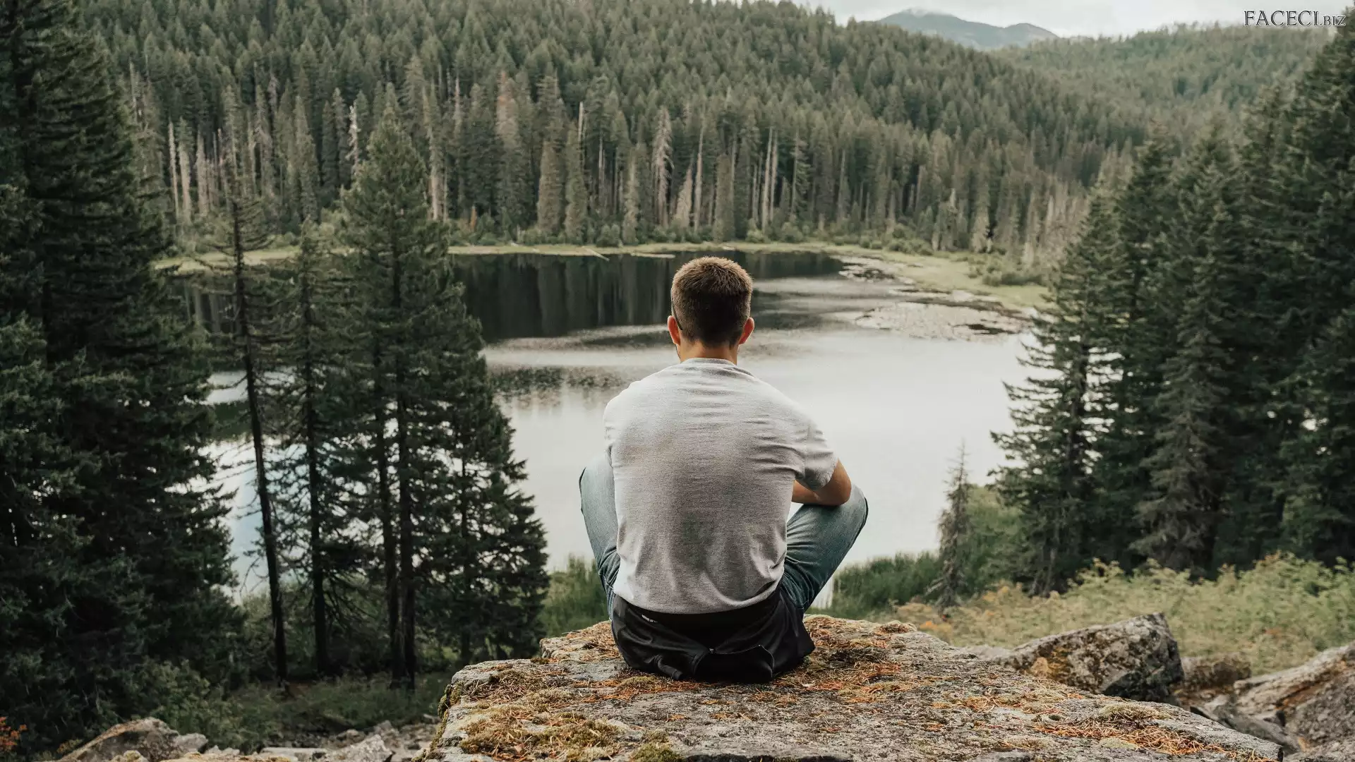 Jezioro, Lasy, Skała, Mężczyzna, Drzewa